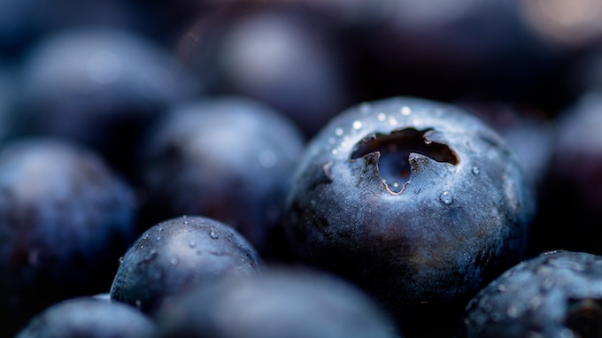 Fresh Blueberries [Newport Gaming]