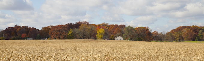 Fall During Harvest Season [Horseshoe Indianapolis]