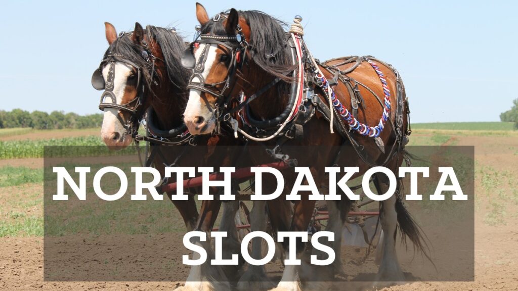 North Dakota slot machine casino gambling consists of six tribal casinos. The maximum bet is $25. Slot machines have a minimum theoretical payout of 80% while video games of skill have been set to 83%. Both types of gaming machines have a maximum theoretical payout of 100%. Return statistics are not publicly available.